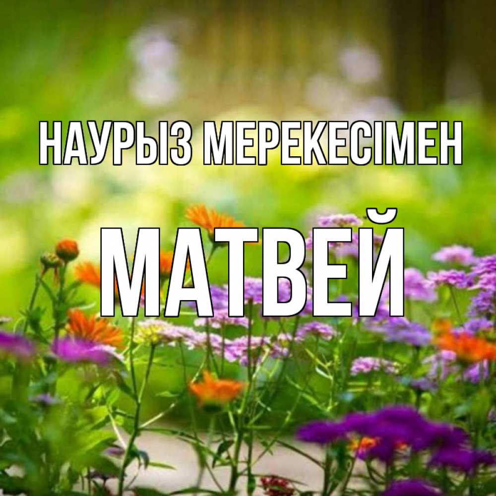 Күн сайын ашық хат с именем, Матвей Наурыз мерекесімен цветы Онлайн тегін жүктеп алу тілектері бар керемет карта 