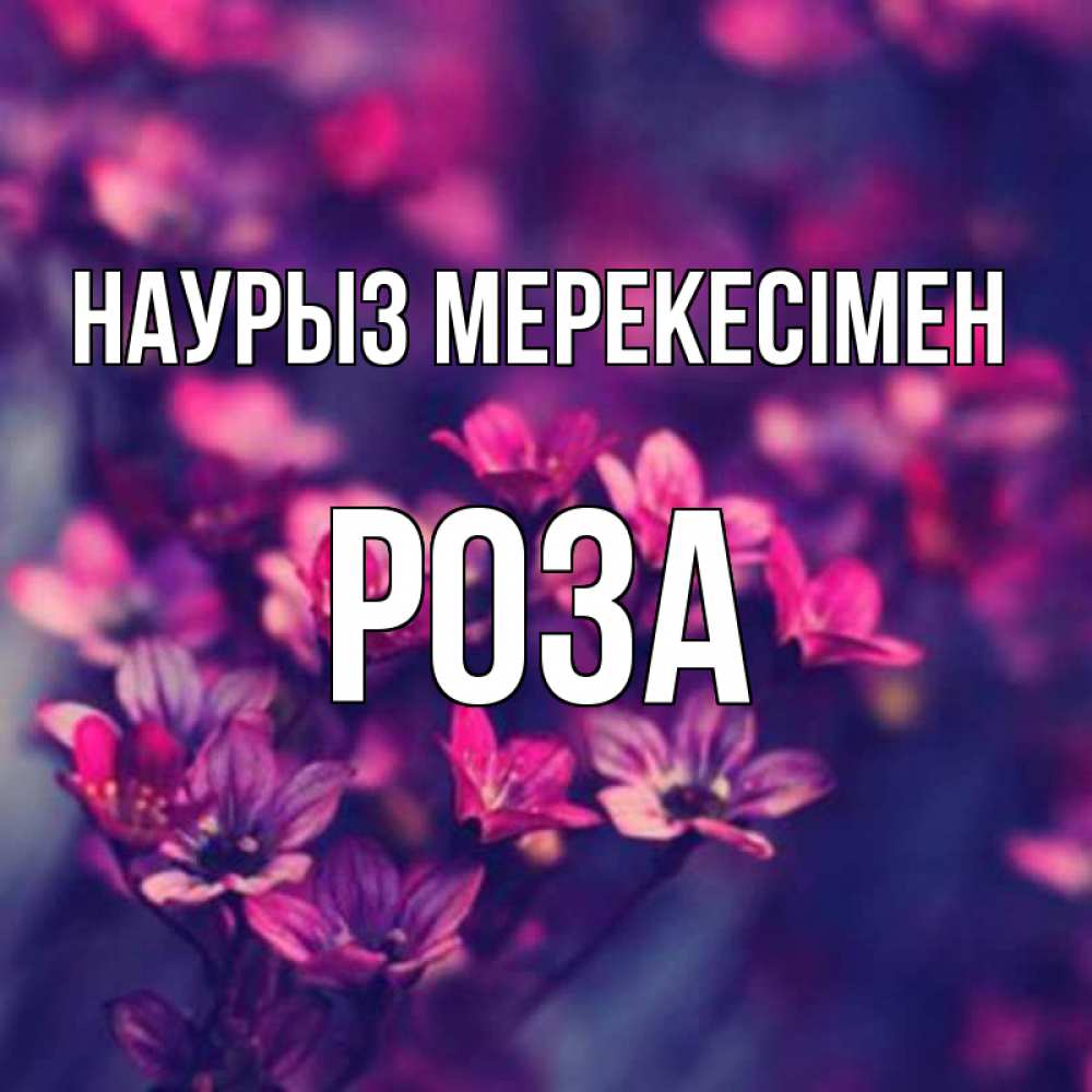 Күн сайын ашық хат с именем, РОЗА Наурыз мерекесімен небольшие цветы 1 Онлайн тегін жүктеп алу тілектері бар керемет карта 
