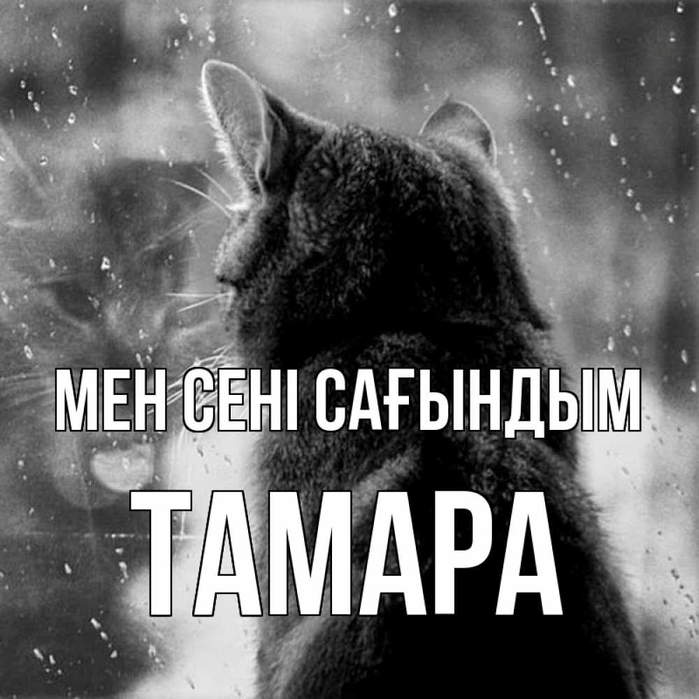 Күн сайын ашық хат с именем, ТАМАРА Мен сені сағындым скорее ко мне приходи 1 Онлайн тегін жүктеп алу тілектері бар керемет карта 