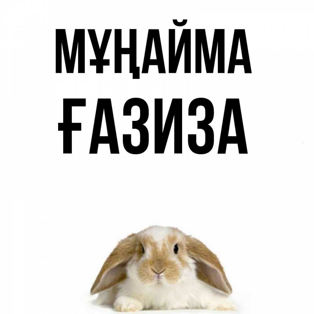 Күн сайын ашық хат с именем, ҒАЗИЗА Мұңайма коричнево белый заяц с большими ушками Онлайн тегін жүктеп алу тілектері бар керемет карта 