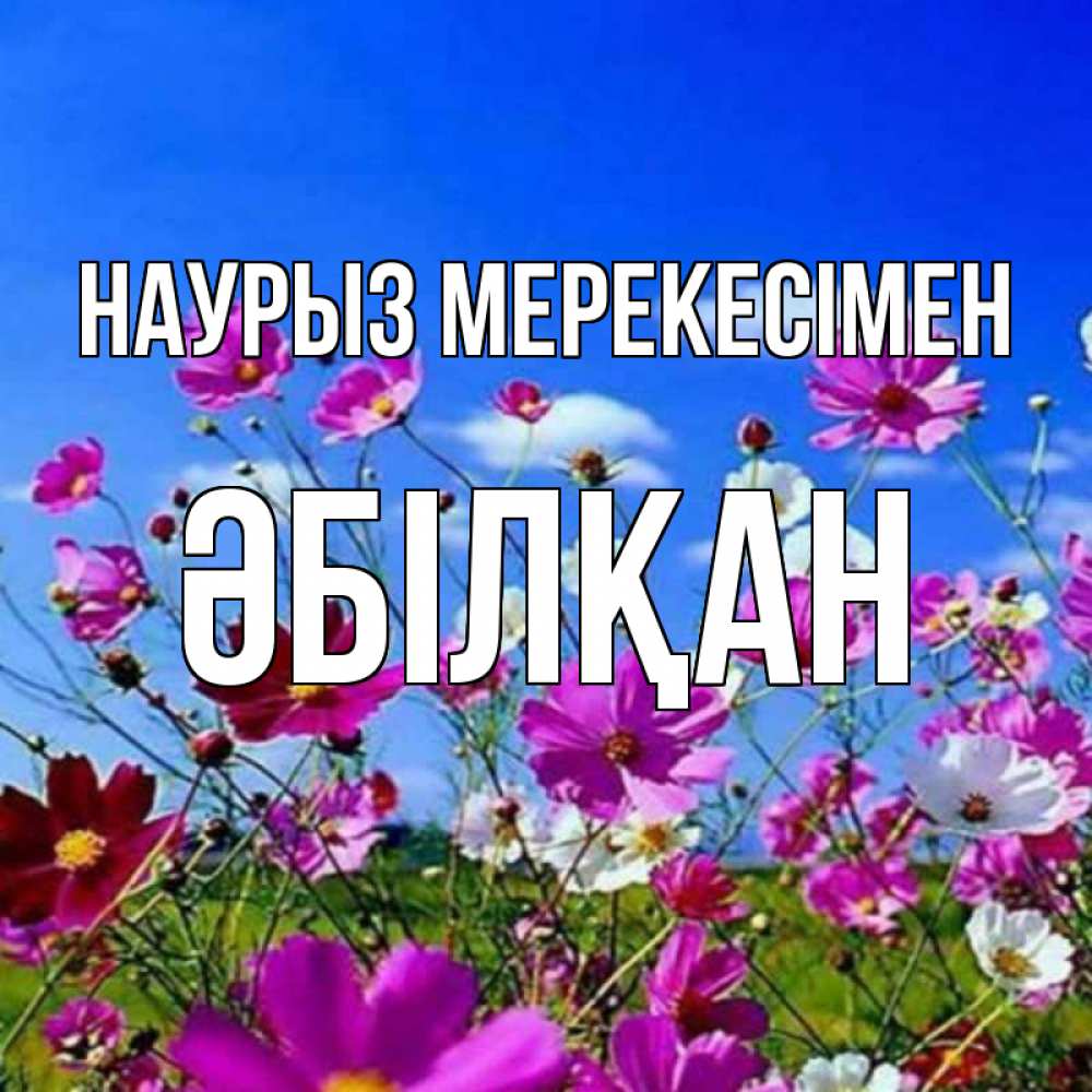 Күн сайын ашық хат с именем, Әбілқан Наурыз мерекесімен цветы Онлайн тегін жүктеп алу тілектері бар керемет карта 