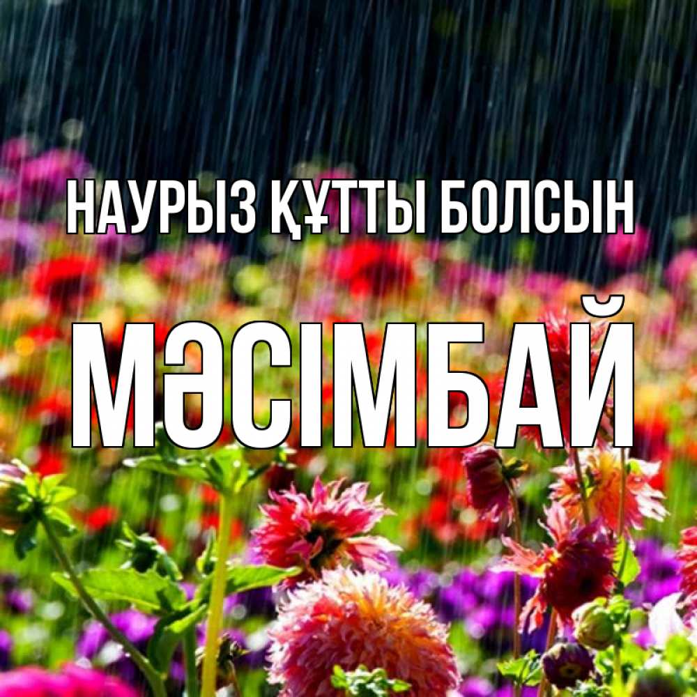 Күн сайын ашық хат с именем, МӘСІМБАЙ Наурыз құтты болсын цветы под дождиком к наурызу Онлайн тегін жүктеп алу тілектері бар керемет карта 