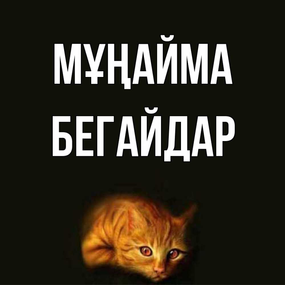 Күн сайын ашық хат с именем, Бегайдар Мұңайма лежащий кот в темноте Онлайн тегін жүктеп алу тілектері бар керемет карта 