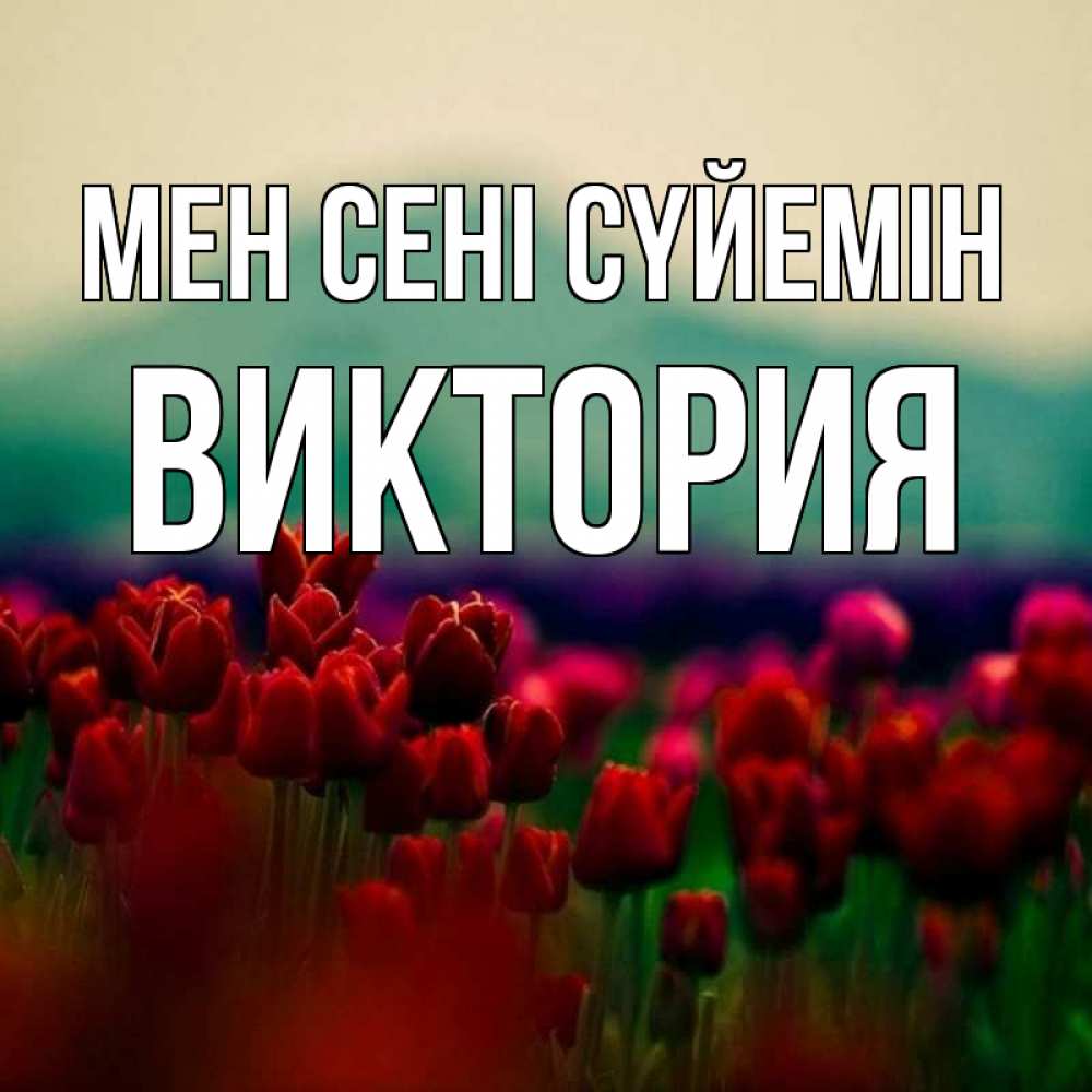 Күн сайын ашық хат с именем, Виктория Мен сені сүйемін тюльпаны 4 Онлайн тегін жүктеп алу тілектері бар керемет карта 