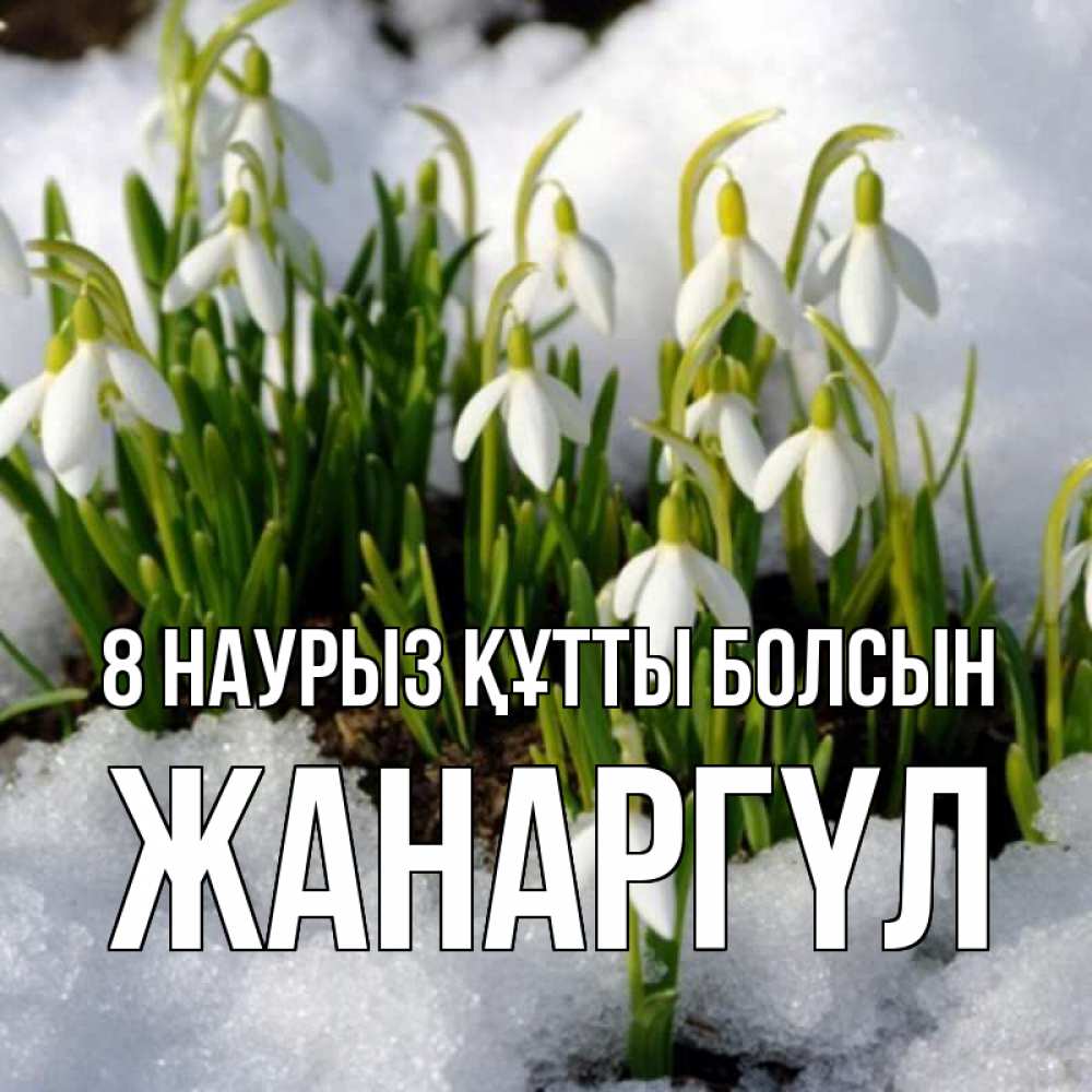 Күн сайын ашық хат с именем, ЖАНАРГҮЛ 8 наурыз құтты болсын цветы весенние Онлайн тегін жүктеп алу тілектері бар керемет карта 
