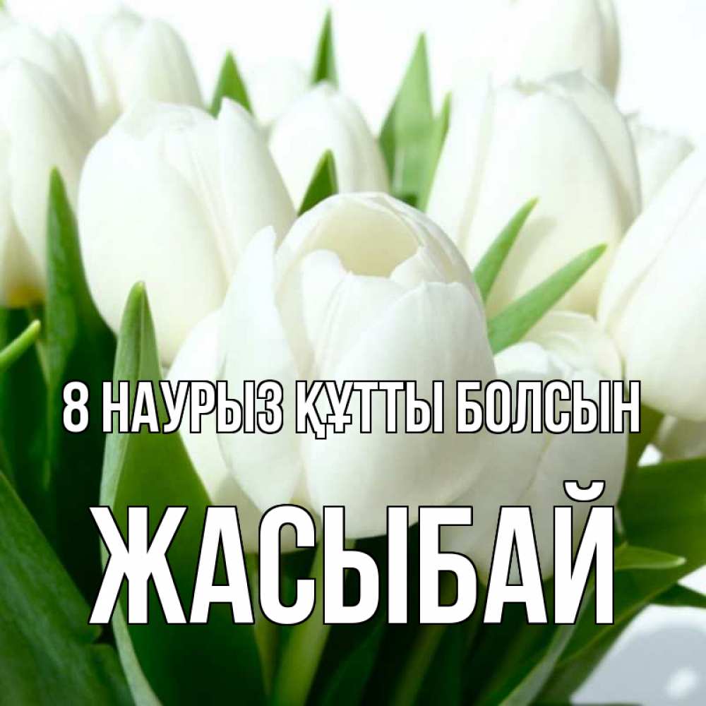 Күн сайын ашық хат с именем, Жасыбай 8 наурыз құтты болсын цветы Онлайн тегін жүктеп алу тілектері бар керемет карта 