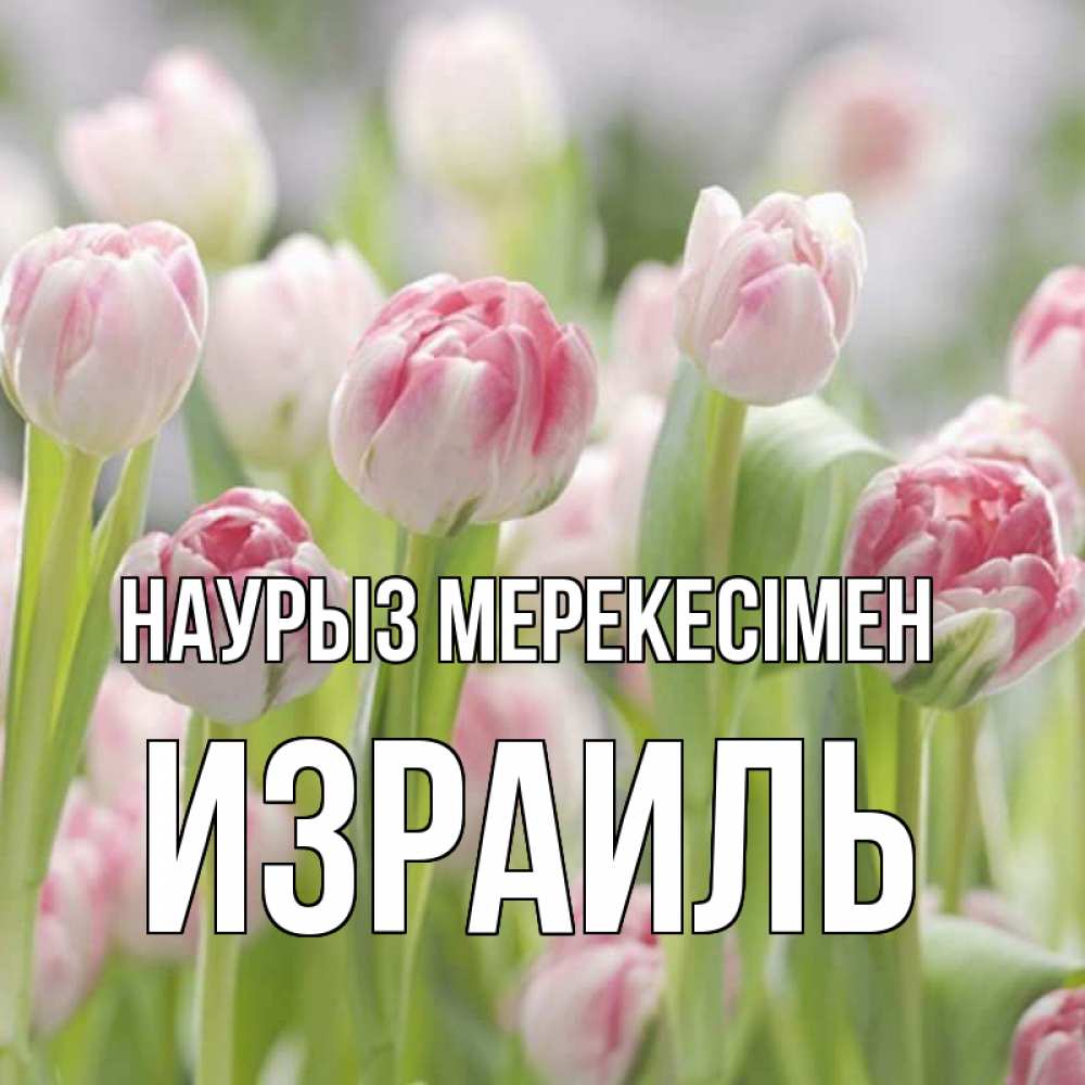 Күн сайын ашық хат с именем, Израиль Наурыз мерекесімен цветы Онлайн тегін жүктеп алу тілектері бар керемет карта 