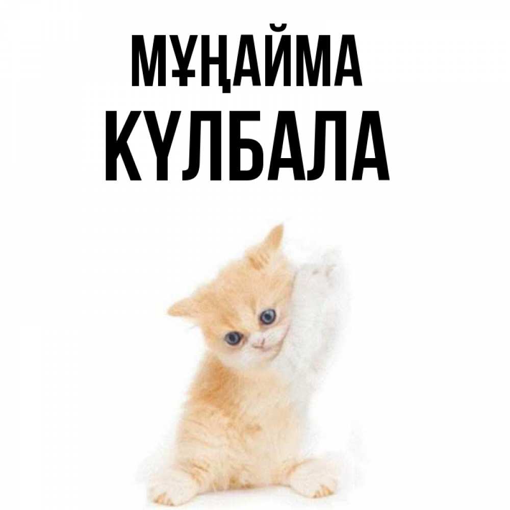 Күн сайын ашық хат с именем, Күлбала Мұңайма просящий кот Онлайн тегін жүктеп алу тілектері бар керемет карта 