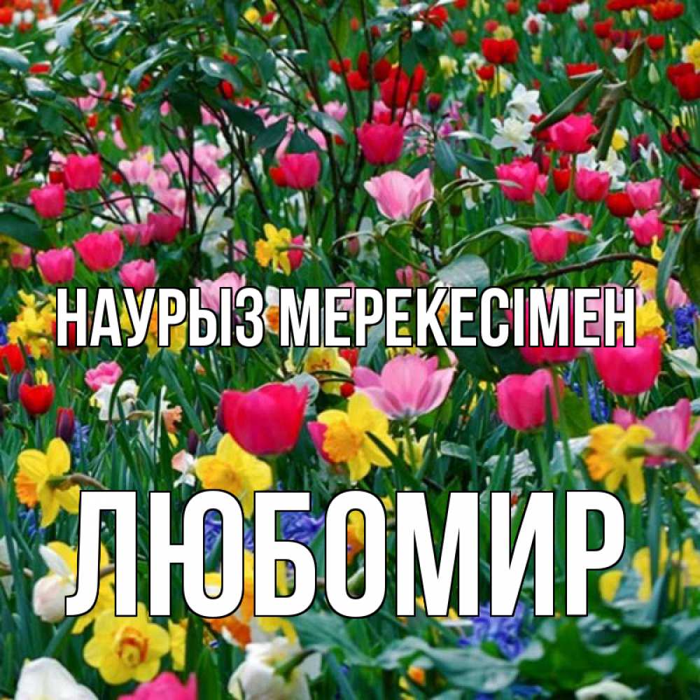 Күн сайын ашық хат с именем, Любомир Наурыз мерекесімен с наурызом праздником весны поздравления для женщины Онлайн тегін жүктеп алу тілектері бар керемет карта 
