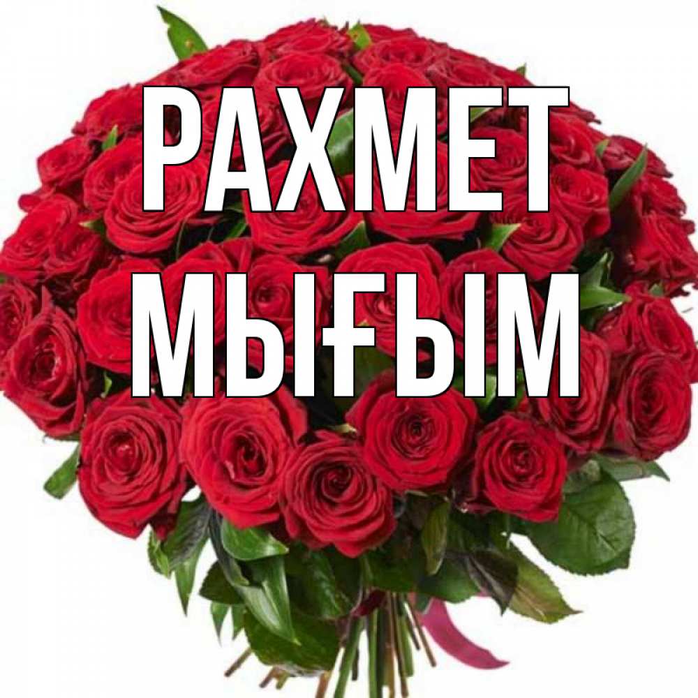 Күн сайын ашық хат с именем, МЫҒЫМ рахмет букет красных роз Онлайн тегін жүктеп алу тілектері бар керемет карта 