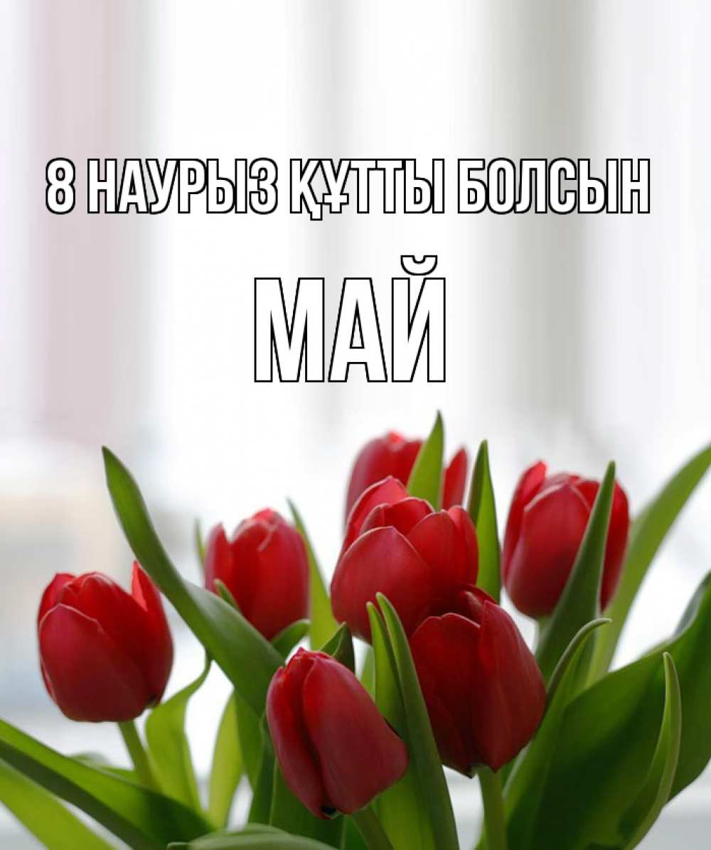 Күн сайын ашық хат с именем, Май 8 наурыз құтты болсын полевые цветы Онлайн тегін жүктеп алу тілектері бар керемет карта 