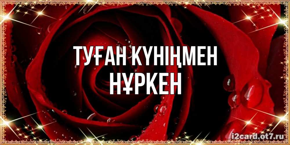 Күн сайын ашық хат с именем, Нұркен Туған күніңмен цветок в росе на день рождения Онлайн тегін жүктеп алу тілектері бар керемет карта 