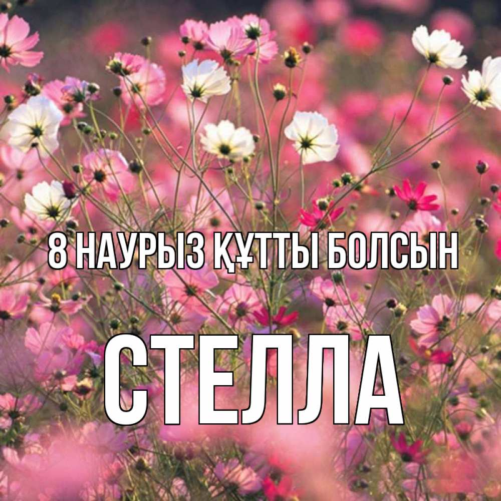 Күн сайын ашық хат с именем, Стелла 8 наурыз құтты болсын красиво 1 Онлайн тегін жүктеп алу тілектері бар керемет карта 