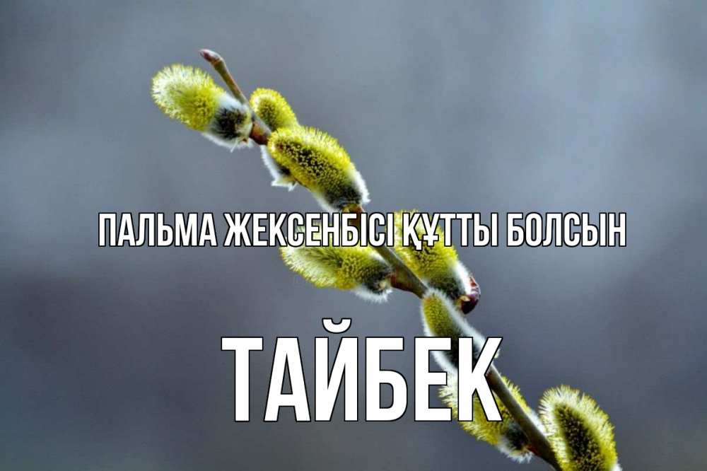Күн сайын ашық хат с именем, ТАЙБЕК Пальма жексенбісі құтты болсын верба Онлайн тегін жүктеп алу тілектері бар керемет карта 