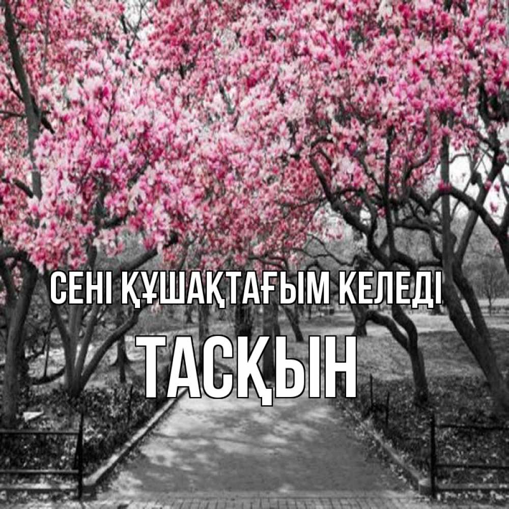 Күн сайын ашық хат с именем, ТАСҚЫН сені құшақтағым келеді обработанное фото Онлайн тегін жүктеп алу тілектері бар керемет карта 