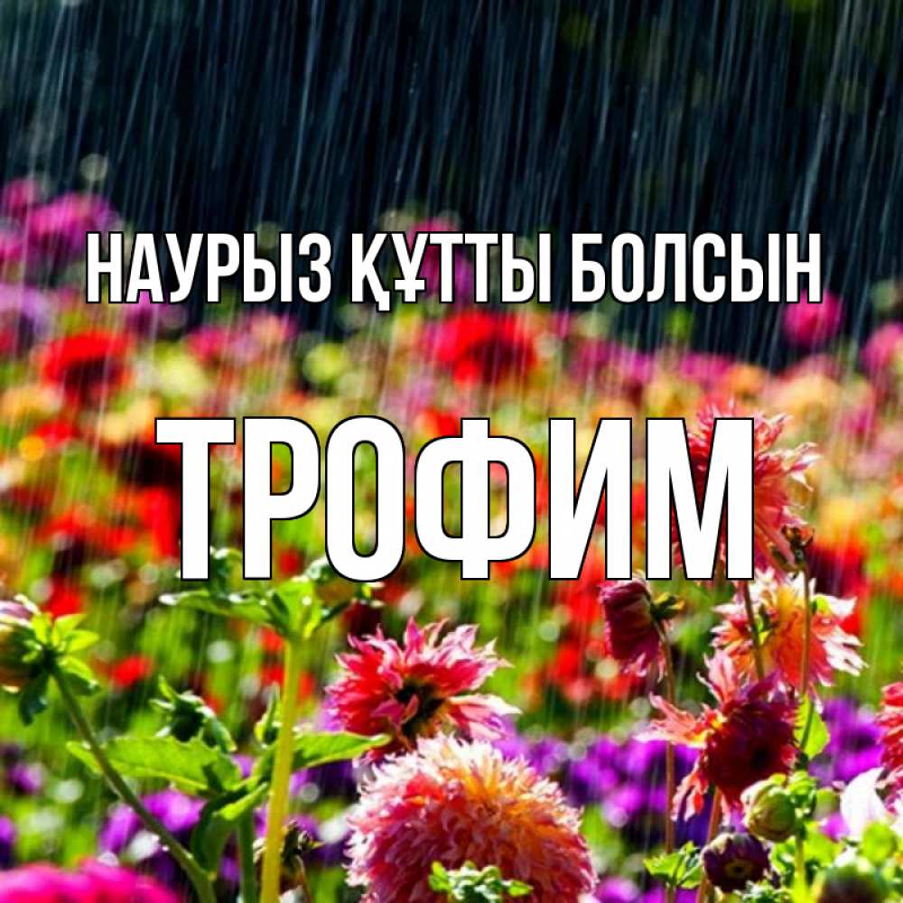 Күн сайын ашық хат с именем, Трофим Наурыз құтты болсын цветы под дождиком к наурызу Онлайн тегін жүктеп алу тілектері бар керемет карта 