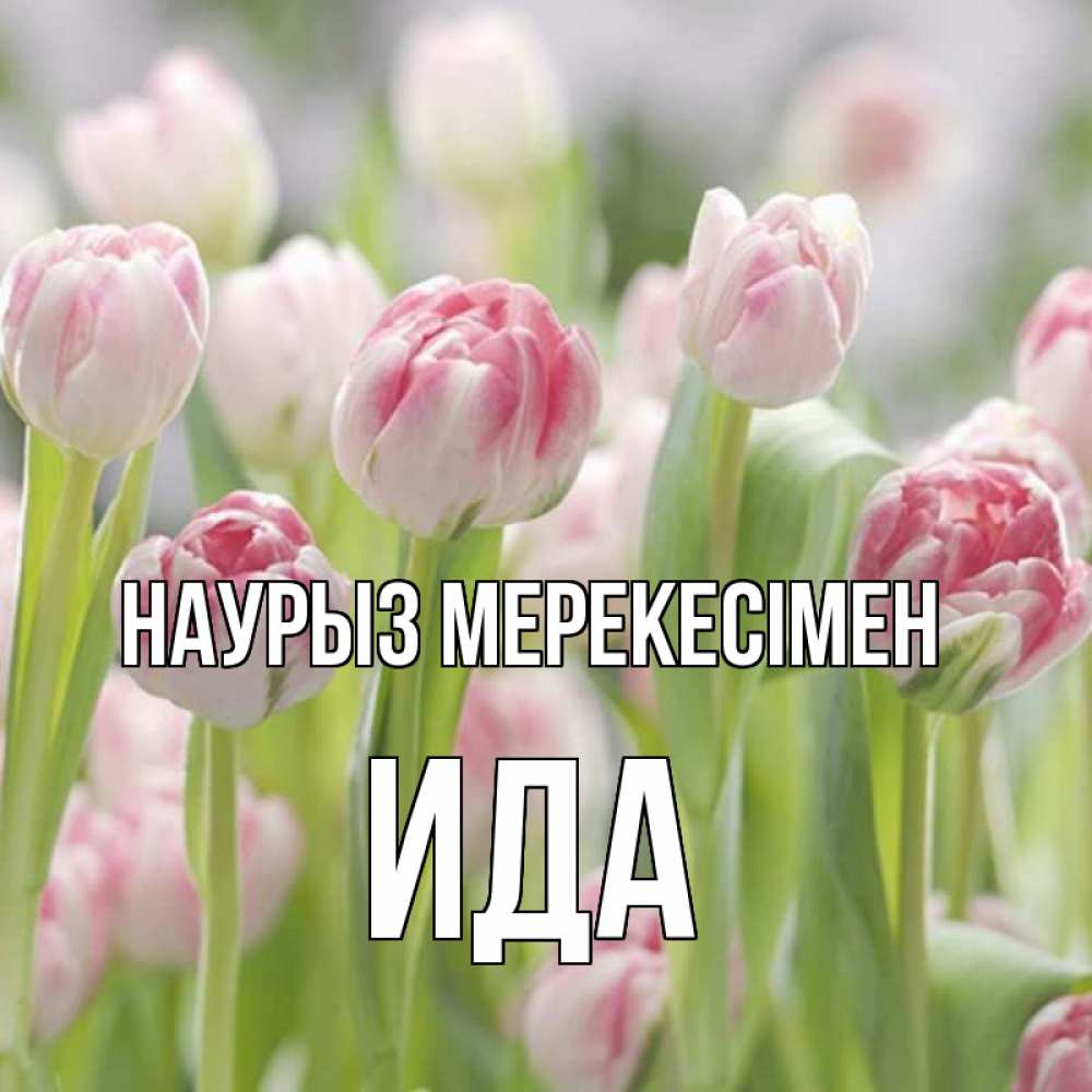Күн сайын ашық хат с именем, Ида Наурыз мерекесімен цветы Онлайн тегін жүктеп алу тілектері бар керемет карта 
