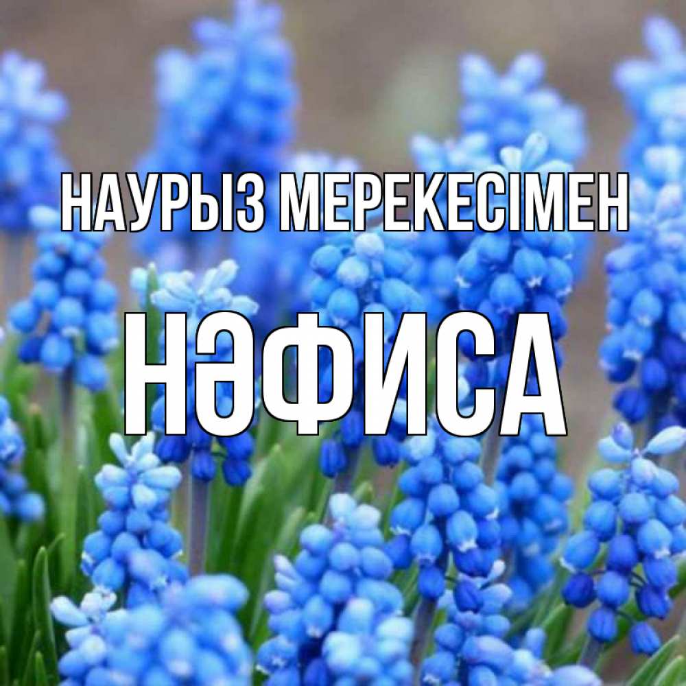 Күн сайын ашық хат с именем, НӘФИСА Наурыз мерекесімен Поздравительная открытка для женщин с цветами на праздничную дату Онлайн тегін жүктеп алу тілектері бар керемет карта 