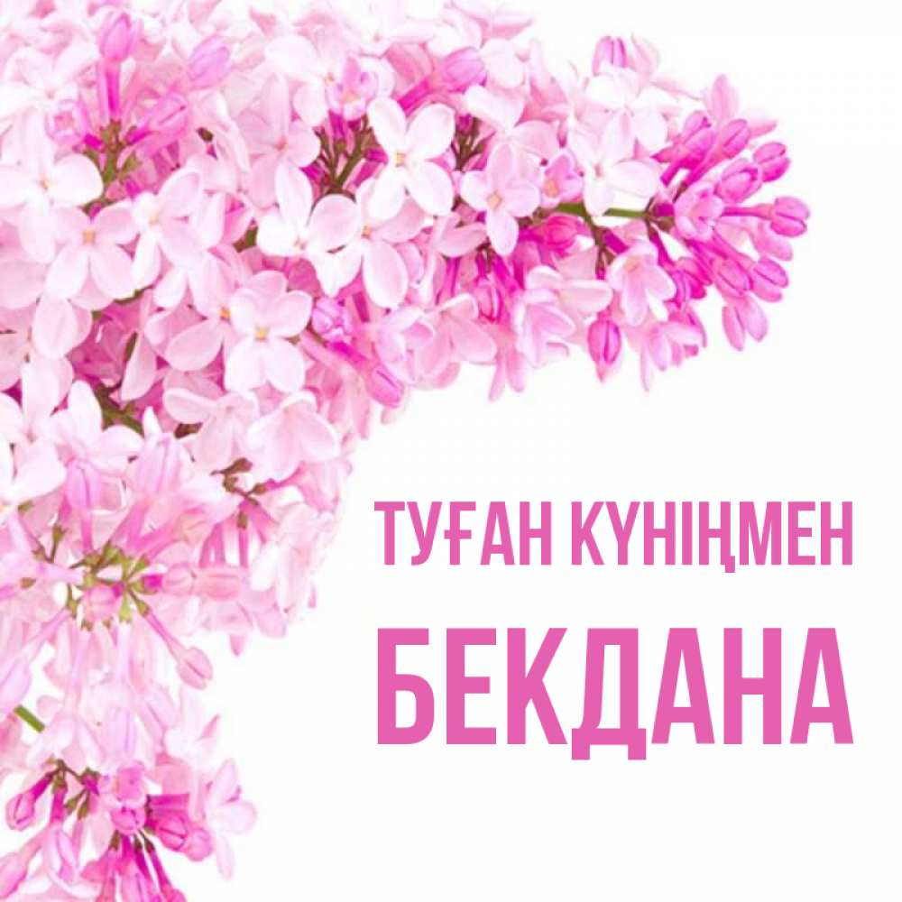 Күн сайын ашық хат с именем, БЕКДАНА Туған күніңмен Сирень на белом фоне Онлайн тегін жүктеп алу тілектері бар керемет карта 