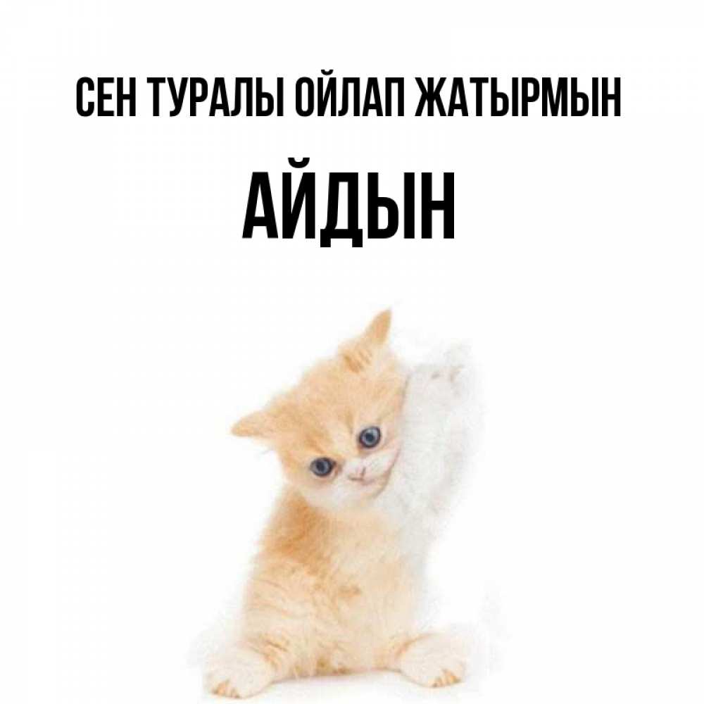 Күн сайын ашық хат с именем, Айдын Сен туралы ойлап жатырмын зверушки и милота Онлайн тегін жүктеп алу тілектері бар керемет карта 