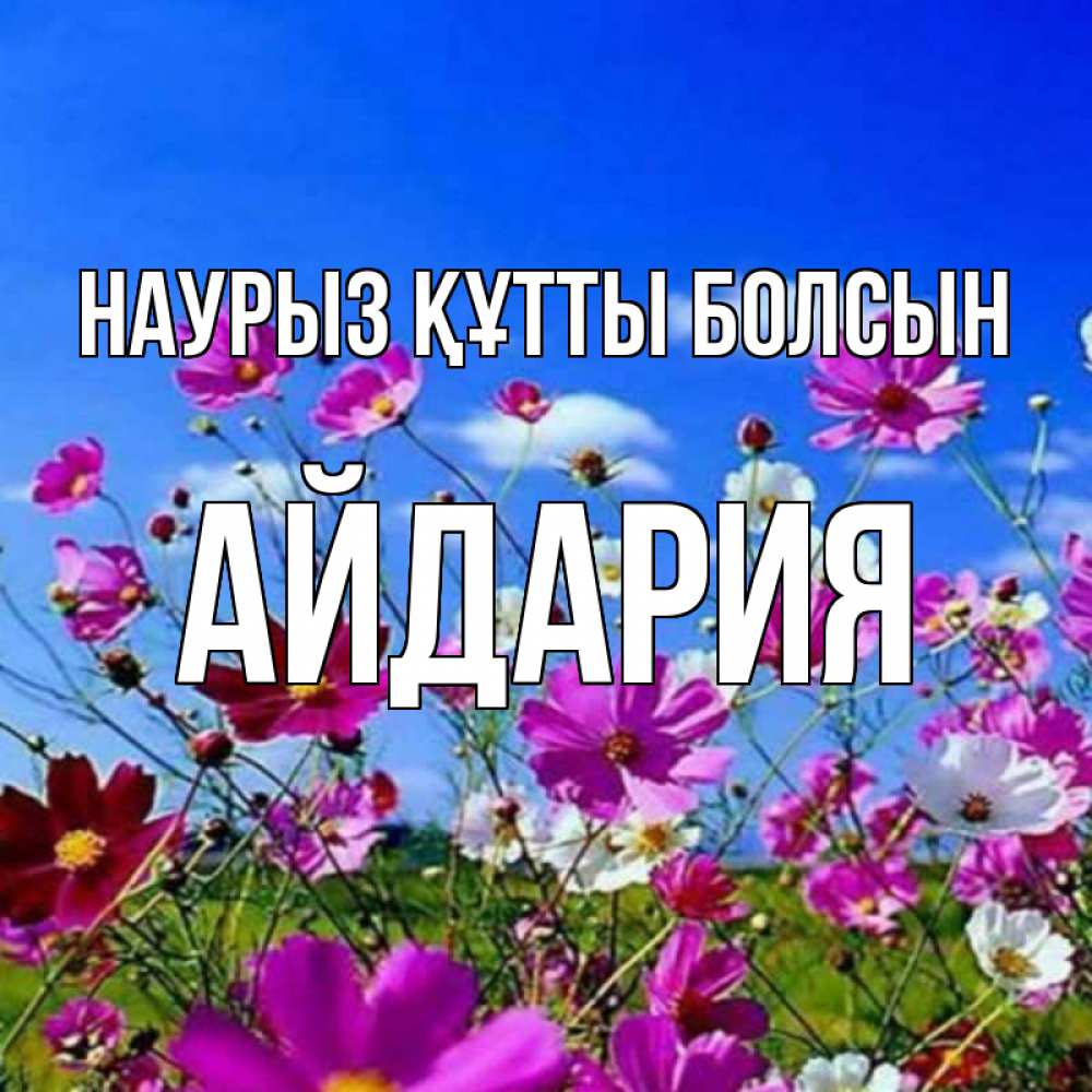 Күн сайын ашық хат с именем, АЙДАРИЯ Наурыз құтты болсын цветы Онлайн тегін жүктеп алу тілектері бар керемет карта 