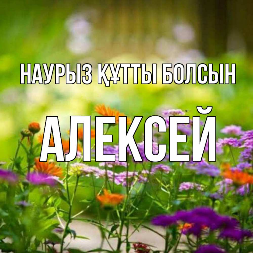 Күн сайын ашық хат с именем, Алексей Наурыз құтты болсын цветы Онлайн тегін жүктеп алу тілектері бар керемет карта 