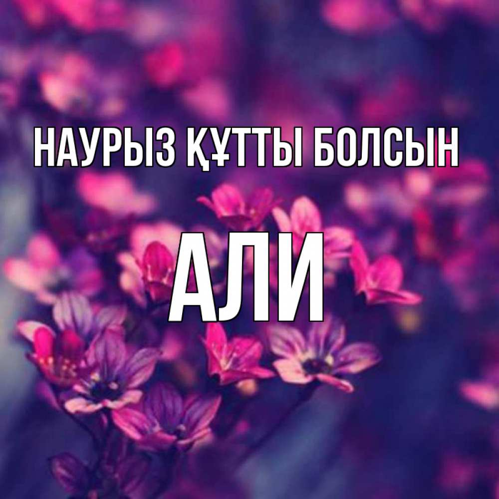 Күн сайын ашық хат с именем, Али Наурыз құтты болсын небольшие цветы 1 Онлайн тегін жүктеп алу тілектері бар керемет карта 
