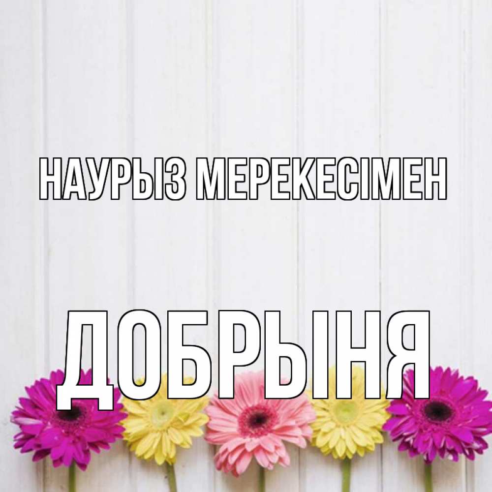 Күн сайын ашық хат с именем, Добрыня Наурыз мерекесімен женщинам 1 Онлайн тегін жүктеп алу тілектері бар керемет карта 