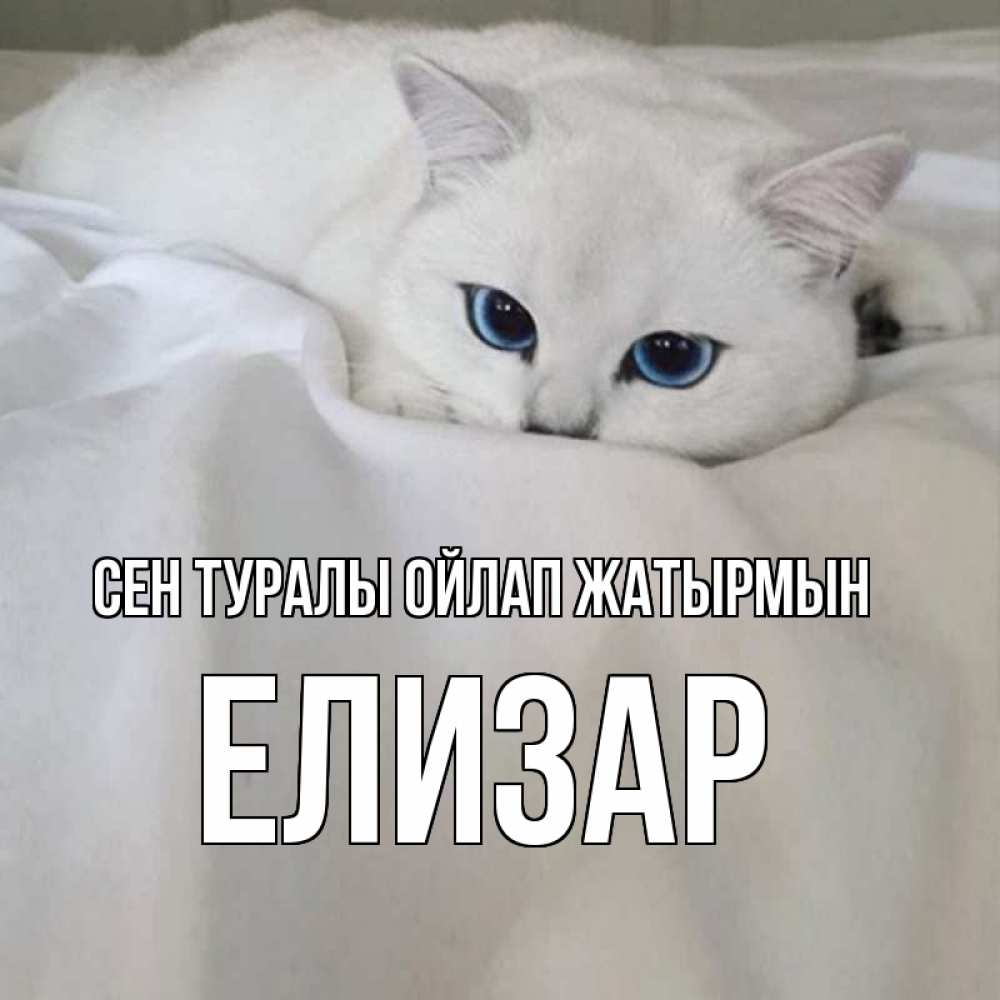 Күн сайын ашық хат с именем, Елизар Сен туралы ойлап жатырмын я очень по тебе скучаю и тоскую Онлайн тегін жүктеп алу тілектері бар керемет карта 