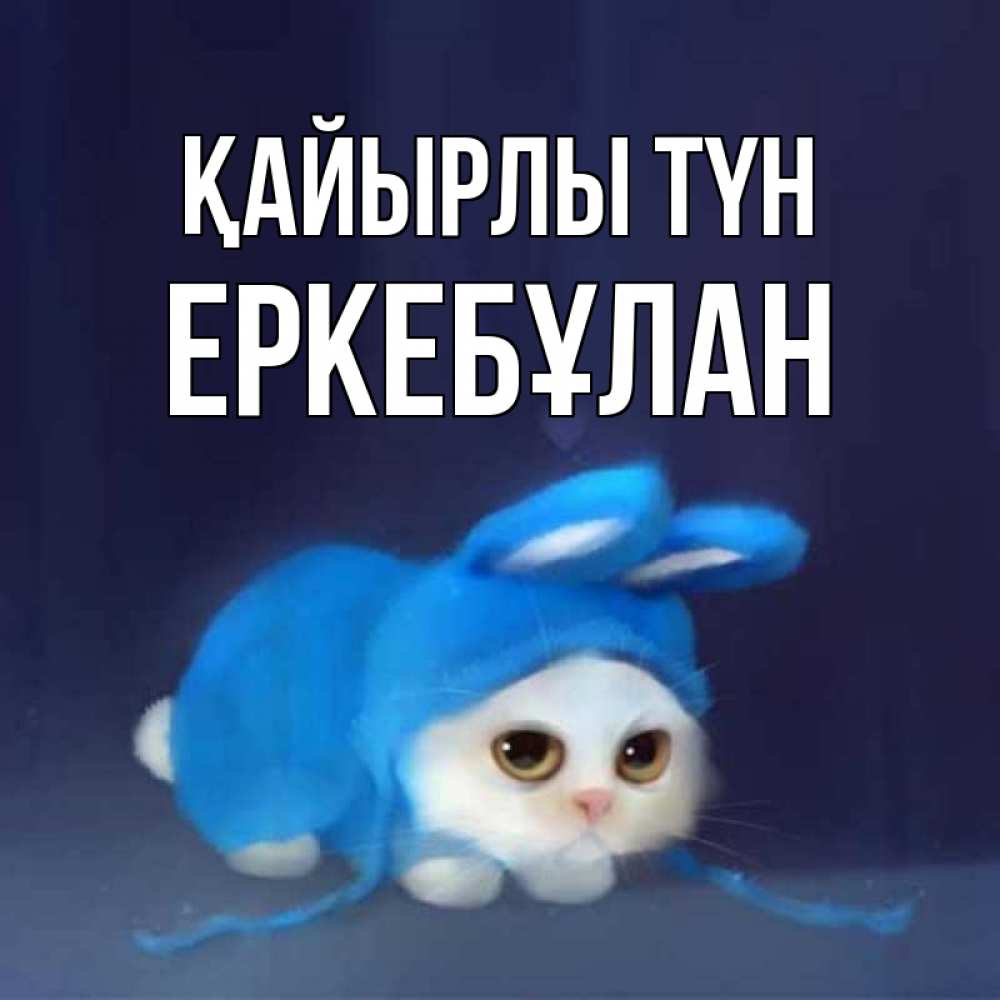 Күн сайын ашық хат с именем, Еркебұлан Қайырлы түн кот в голубом костюме кролика с ушками Онлайн тегін жүктеп алу тілектері бар керемет карта 