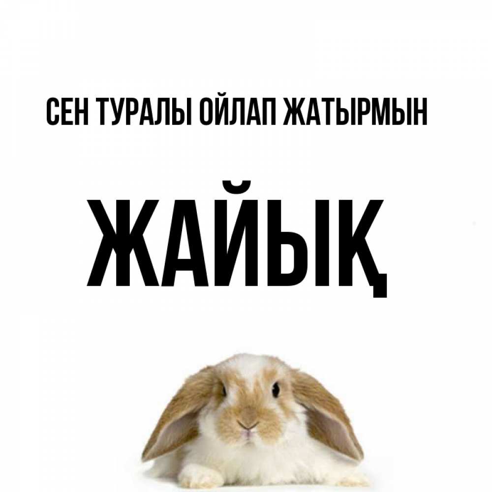 Күн сайын ашық хат с именем, Жайық Сен туралы ойлап жатырмын подписать своими руками онлайн Онлайн тегін жүктеп алу тілектері бар керемет карта 