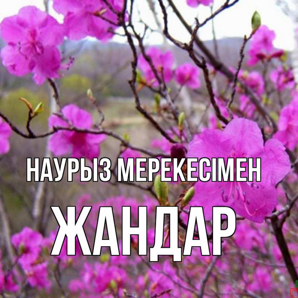 Күн сайын ашық хат с именем, Жандар Наурыз мерекесімен праздник весны наурыз Онлайн тегін жүктеп алу тілектері бар керемет карта 