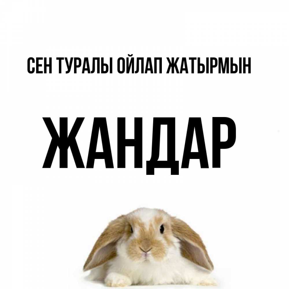 Күн сайын ашық хат с именем, Жандар Сен туралы ойлап жатырмын подписать своими руками онлайн Онлайн тегін жүктеп алу тілектері бар керемет карта 