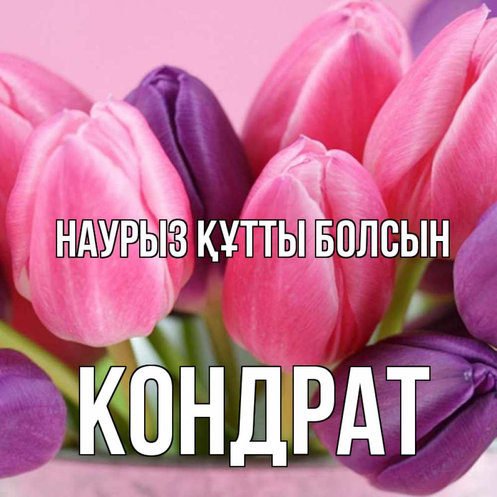 Күн сайын ашық хат с именем, Кондрат Наурыз құтты болсын маме 1 Онлайн тегін жүктеп алу тілектері бар керемет карта 