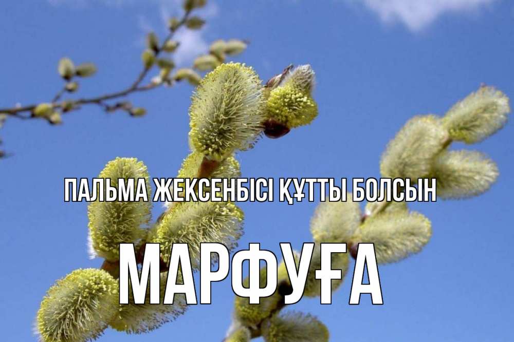 Күн сайын ашық хат с именем, МАРФУҒА Пальма жексенбісі құтты болсын верба Онлайн тегін жүктеп алу тілектері бар керемет карта 