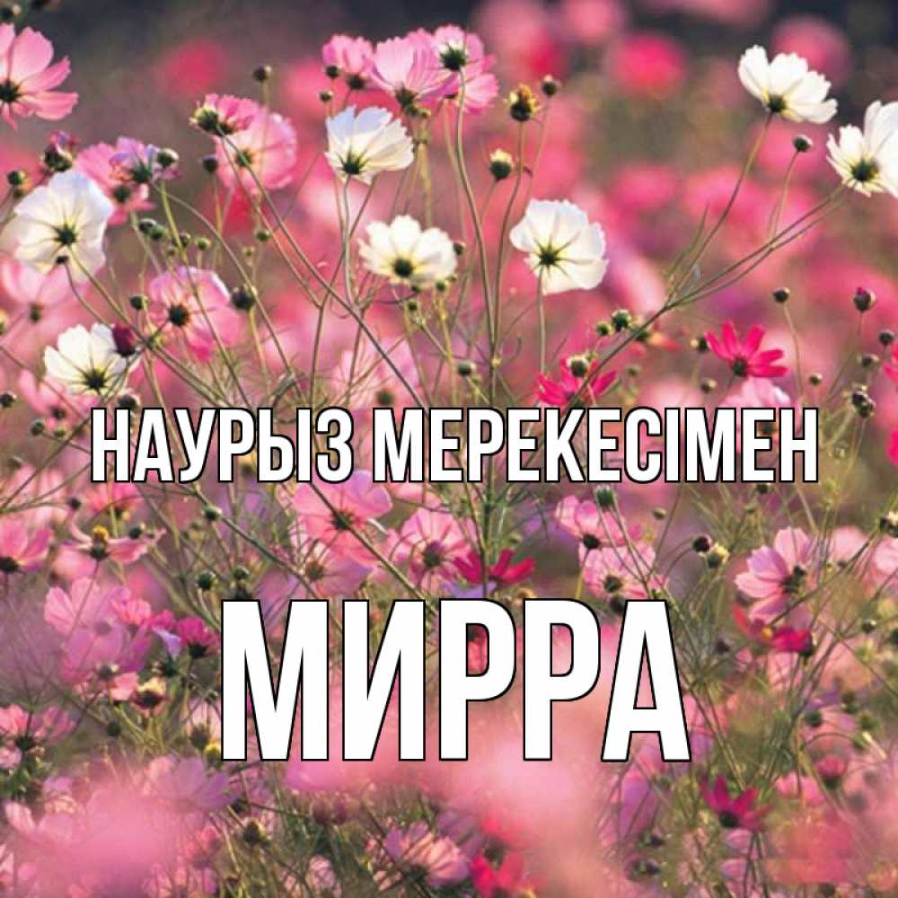 Күн сайын ашық хат с именем, Мирра Наурыз мерекесімен красиво 1 Онлайн тегін жүктеп алу тілектері бар керемет карта 
