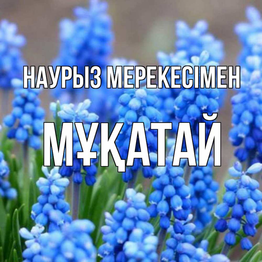 Күн сайын ашық хат с именем, Мұқатай Наурыз мерекесімен Поздравительная открытка для женщин с цветами на праздничную дату Онлайн тегін жүктеп алу тілектері бар керемет карта 