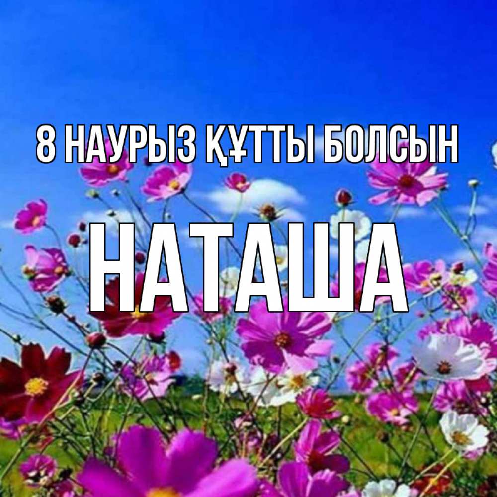 Күн сайын ашық хат с именем, Наташа 8 наурыз құтты болсын цветы Онлайн тегін жүктеп алу тілектері бар керемет карта 