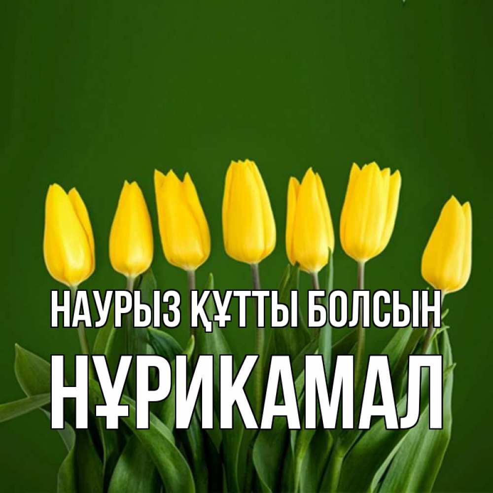 Күн сайын ашық хат с именем, НҰРИКАМАЛ Наурыз құтты болсын желтого цвета 3 Онлайн тегін жүктеп алу тілектері бар керемет карта 