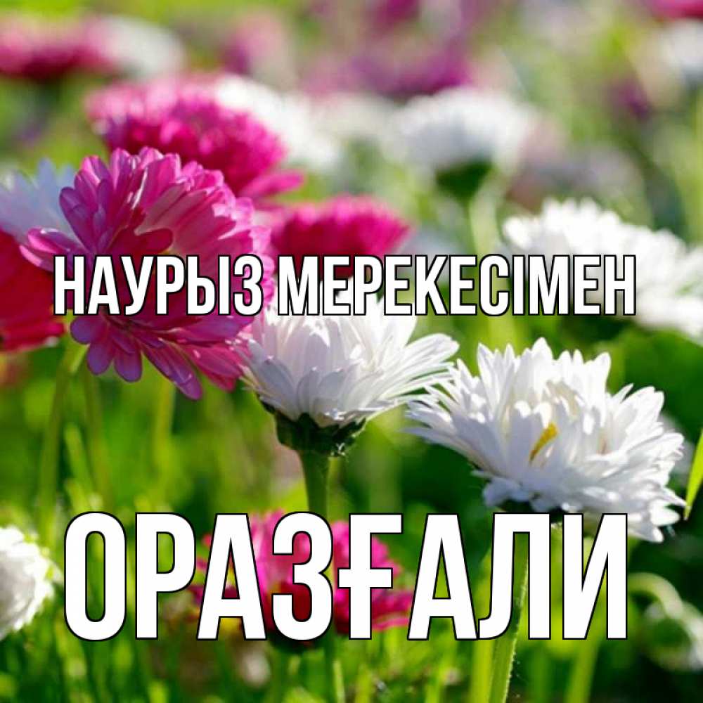 Күн сайын ашық хат с именем, ОРАЗҒАЛИ Наурыз мерекесімен праздник весны наурыз красота Онлайн тегін жүктеп алу тілектері бар керемет карта 