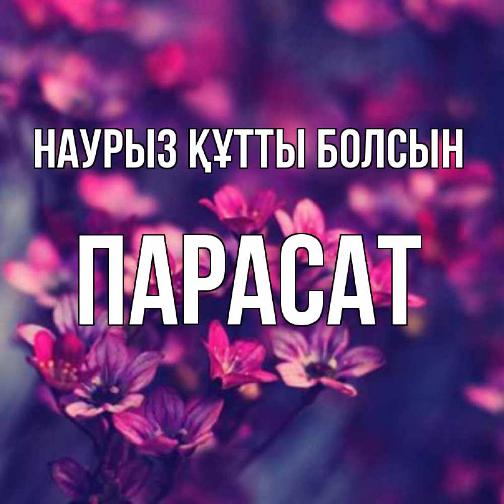 Күн сайын ашық хат с именем, ПАРАСАТ Наурыз құтты болсын небольшие цветы 1 Онлайн тегін жүктеп алу тілектері бар керемет карта 