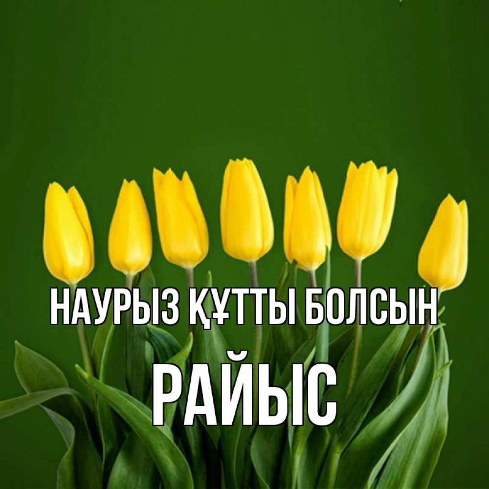 Күн сайын ашық хат с именем, РАЙЫС Наурыз құтты болсын желтого цвета 3 Онлайн тегін жүктеп алу тілектері бар керемет карта 