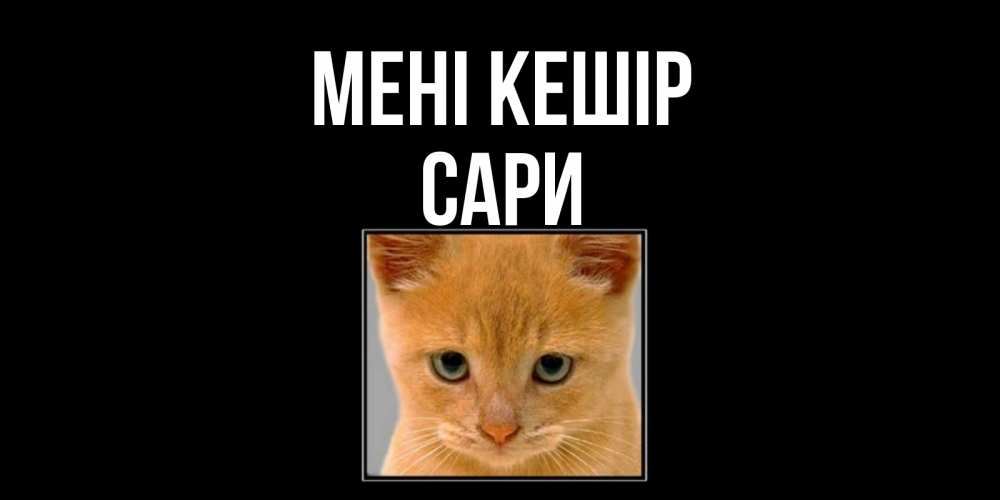 Күн сайын ашық хат с именем, САРИ Мені кешір рыжий грустный кот просит прощения Онлайн тегін жүктеп алу тілектері бар керемет карта 