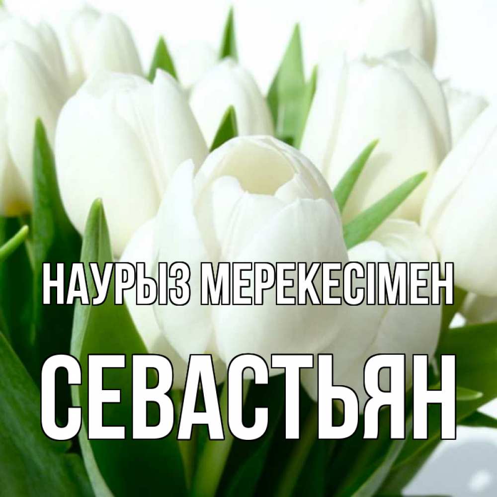 Күн сайын ашық хат с именем, Севастьян Наурыз мерекесімен цветы Онлайн тегін жүктеп алу тілектері бар керемет карта 