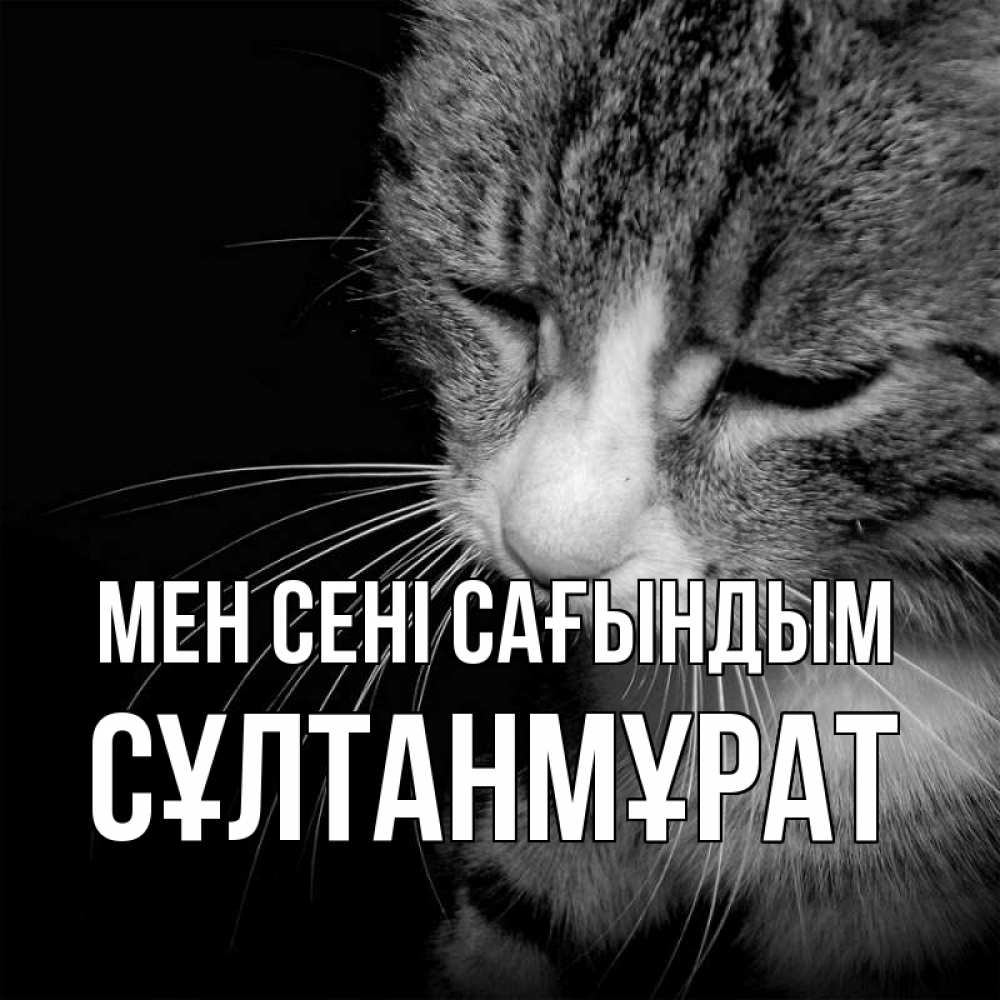 Күн сайын ашық хат с именем, СҰЛТАНМҰРАТ Мен сені сағындым мне скучно Онлайн тегін жүктеп алу тілектері бар керемет карта 