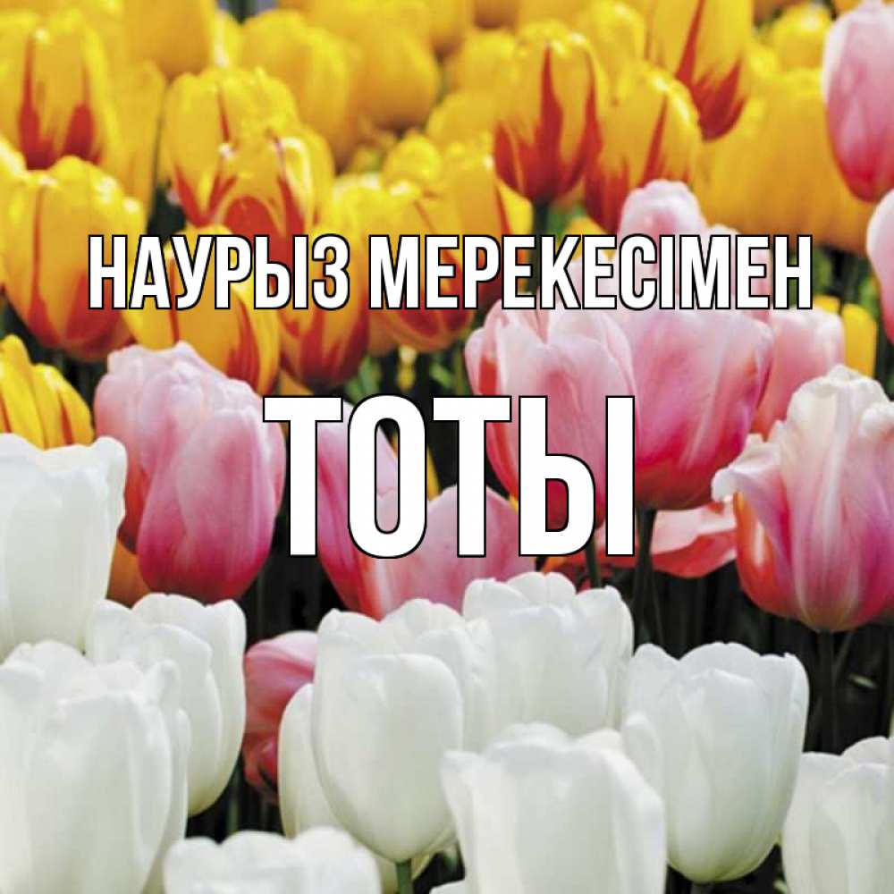 Күн сайын ашық хат с именем, ТОТЫ Наурыз мерекесімен разноцветные цветы Онлайн тегін жүктеп алу тілектері бар керемет карта 
