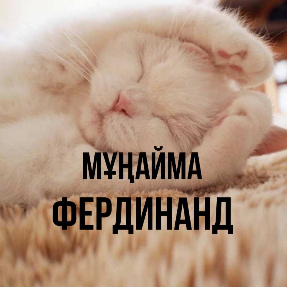Күн сайын ашық хат с именем, Фердинанд Мұңайма Котенок спит Онлайн тегін жүктеп алу тілектері бар керемет карта 