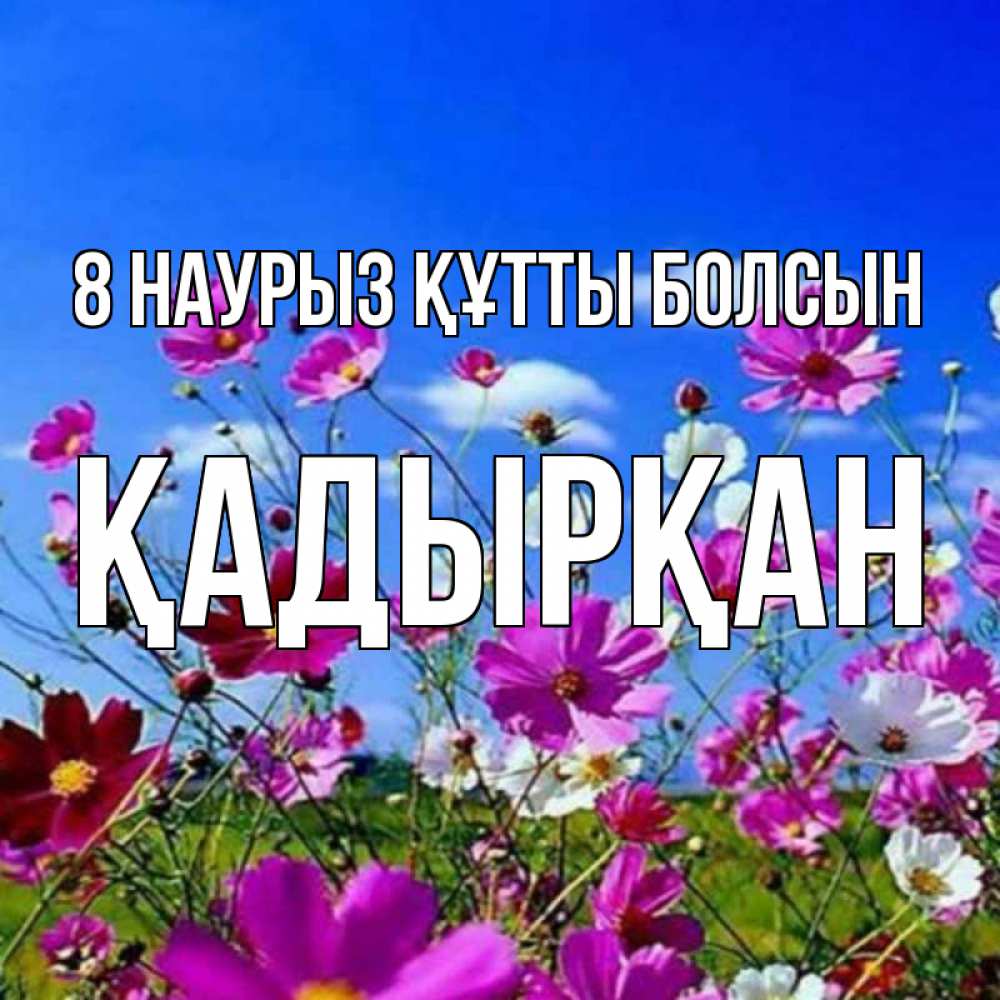Күн сайын ашық хат с именем, Қадырқан 8 наурыз құтты болсын цветы Онлайн тегін жүктеп алу тілектері бар керемет карта 