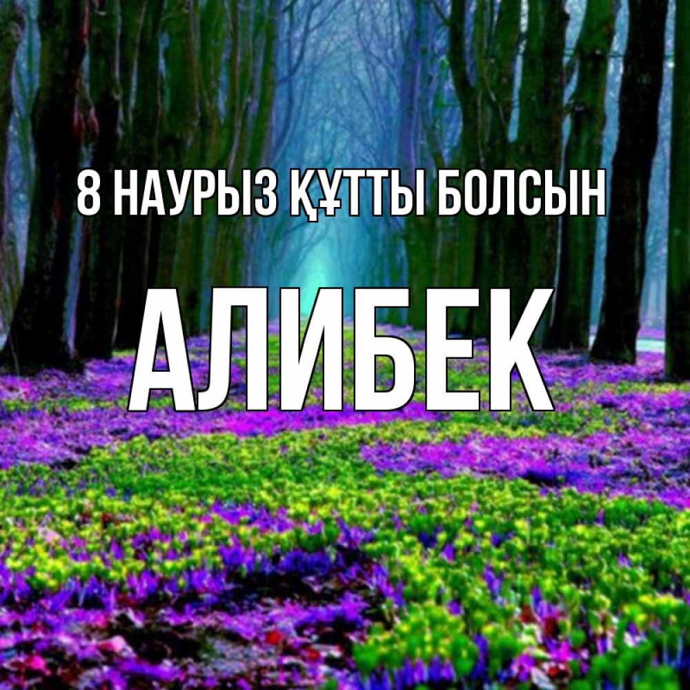 Күн сайын ашық хат с именем, Алибек 8 наурыз құтты болсын фиолетовые цветы в лесу 1 Онлайн тегін жүктеп алу тілектері бар керемет карта 