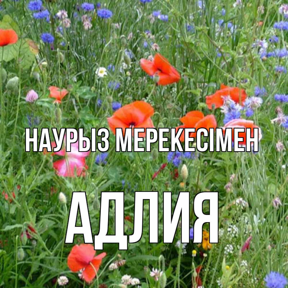 Күн сайын ашық хат с именем, АДЛИЯ Наурыз мерекесімен праздник весны наурыз супер открытка Онлайн тегін жүктеп алу тілектері бар керемет карта 